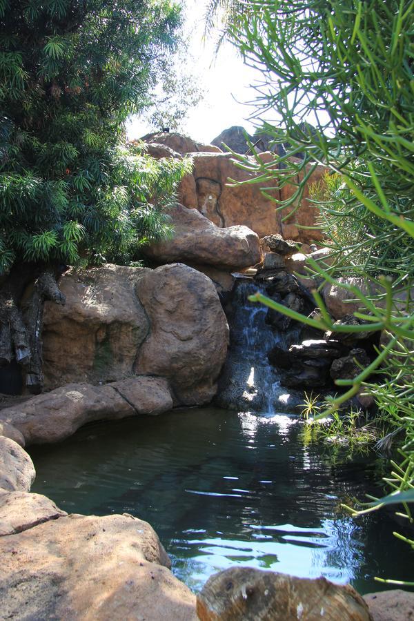 Kassaboera Lodge هارتبيسبورت المظهر الخارجي الصورة